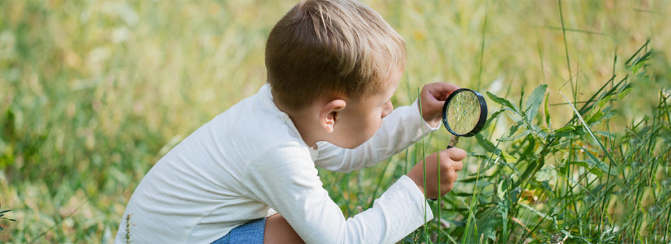 A small boy explores with a magnifying glass plants and insects